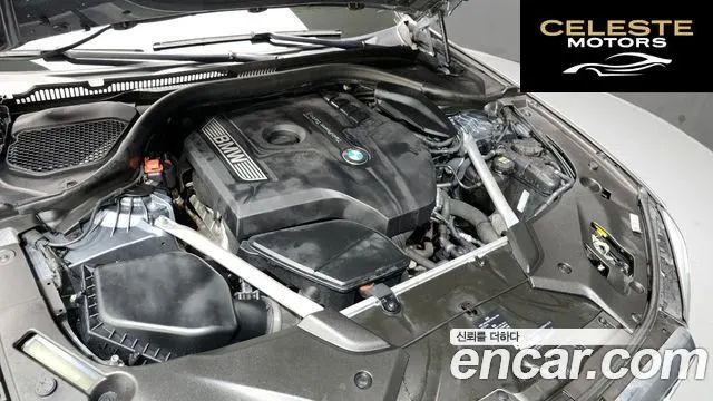 BMW Série 5 (G30) 520i Luxury 2018 — photo 6 sur 20