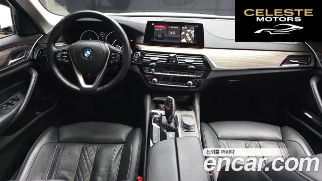 BMW Série 5 (G30) 530i xDrive Luxury Plus 2019 — photo 10 sur 32