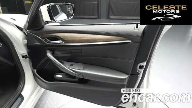 BMW Série 5 (G30) 530i xDrive Luxury Plus 2019 — photo 14 sur 32