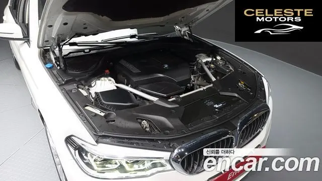 BMW Série 5 (G30) 530i xDrive Luxury Plus 2019 — photo 6 sur 32