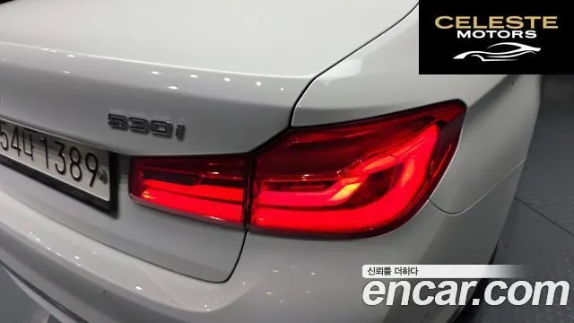 BMW Série 5 (G30) 530i xDrive Luxury Plus 2019 — photo 9 sur 32