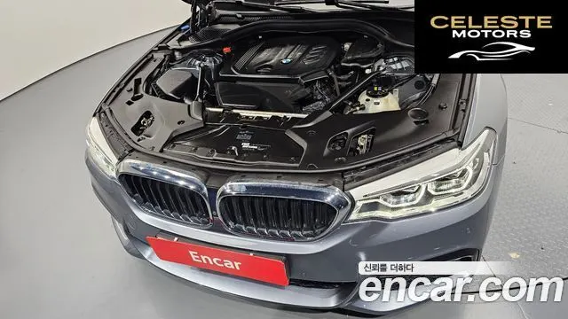 BMW Série 5 (G30) 520d xDrive M Sport Plus 2017 — photo 6 sur 31