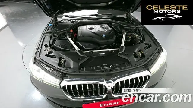 BMW Série 5 (G30) 530i xDrive Luxury 2022 — photo 6 sur 20