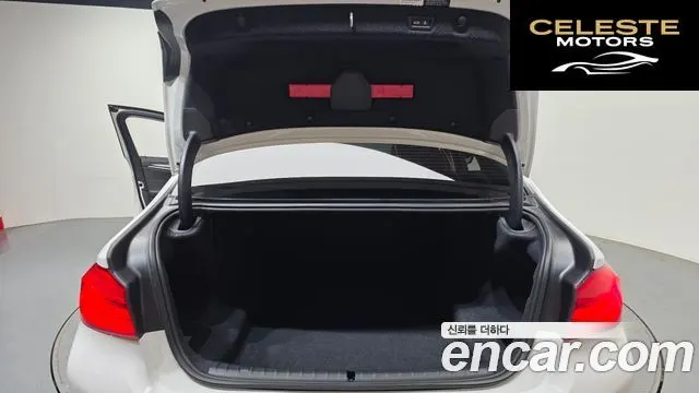 BMW Série 5 (G30) 520i Luxury 2019 — photo 20 sur 20