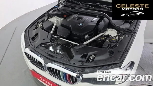 BMW Série 5 (G30) 520i Luxury 2019 — photo 6 sur 20