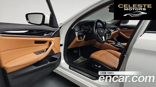 BMW Série 5 (G30) 520i Luxury 2018 — photo 12 sur 34