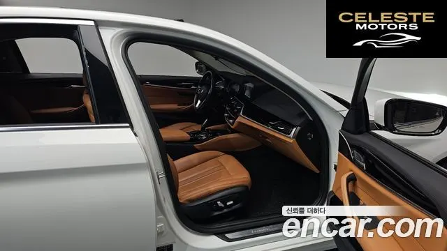 BMW Série 5 (G30) 520i Luxury 2018 — photo 15 sur 34