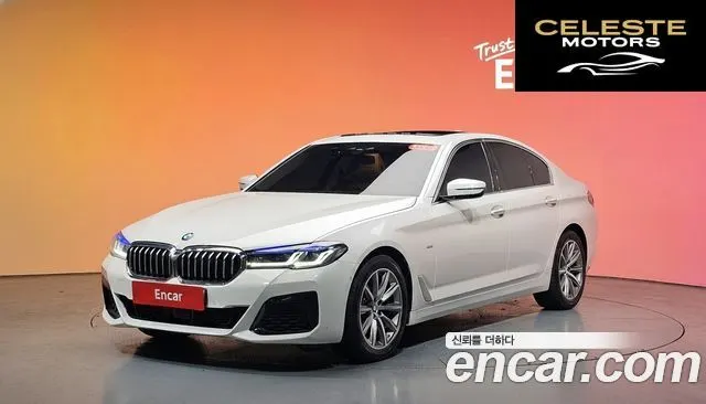 BMW Série 5 (G30) 520i Luxury 2018 — photo 34 sur 34