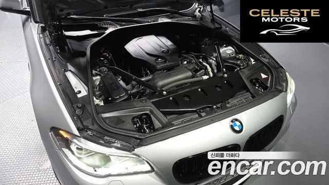 BMW Série 5 (F10) 520d xDrive M Aéro Dynamic 2016 — photo 6 sur 26