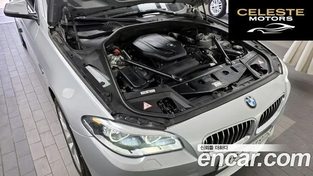 BMW Série 5 (F10) 520d xDrive M Aéro Dynamic 2016 — photo 6 sur 20