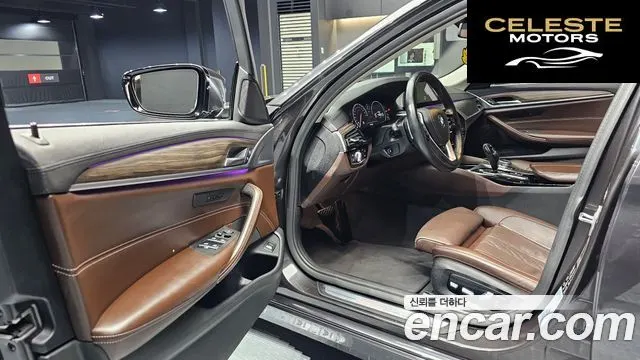 BMW Série 5 (G30) 530i xDrive Luxury Plus 2019 — photo 10 sur 20