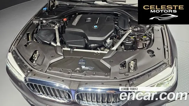 BMW Série 5 (G30) 530i xDrive Luxury Plus 2019 — photo 6 sur 20