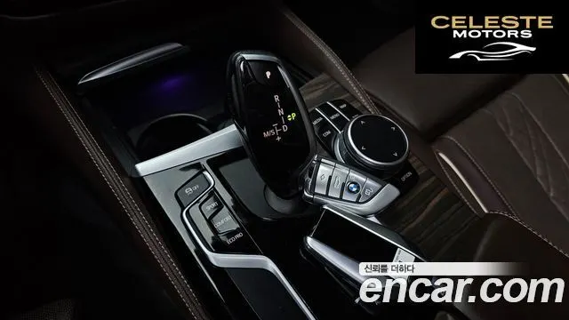 BMW Série 5 (G30) 530i xDrive Luxury Plus 2019 — photo 9 sur 20