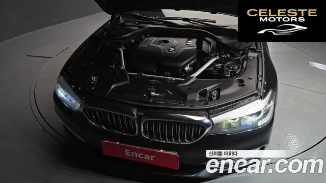BMW Série 5 (G30) 520i Luxury 2018 — photo 6 sur 20