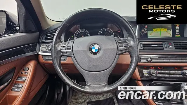 BMW Série 5 (F10) 520d M Aéro Dynamic 2016 — photo 13 sur 20