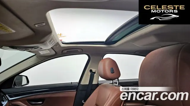 BMW Série 5 (F10) 520d M Aéro Dynamic 2016 — photo 19 sur 20