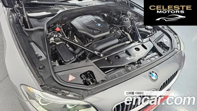 BMW Série 5 (F10) 520d M Aéro Dynamic 2016 — photo 6 sur 20