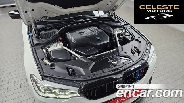 BMW Série 5 (G30) 520i M Sport 2020 — photo 6 sur 37