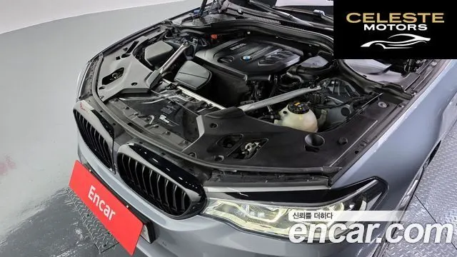 BMW Série 5 (G30) 520d M Sport Plus 2018 — photo 6 sur 36
