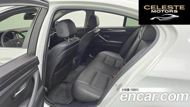 BMW Série 5 (F10) 520d xDrive 2014 — photo 12 sur 20