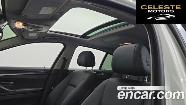 BMW Série 5 (F10) 520d xDrive 2014 — photo 19 sur 20