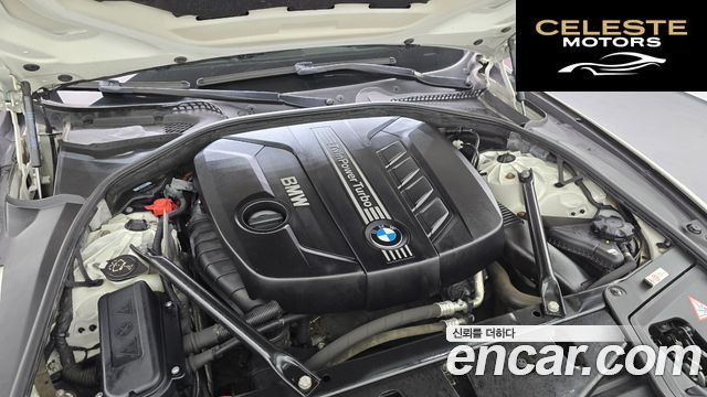 BMW Série 5 (F10) 520d xDrive 2014 — photo 6 sur 20