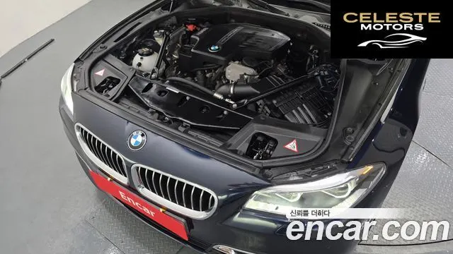 BMW Série 5 (F10) 528i xDrive Luxury Plus 2015 — photo 6 sur 20