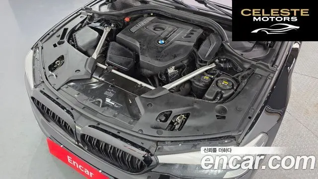 BMW Série 5 (G30) 520i Luxury 2018 — photo 6 sur 20