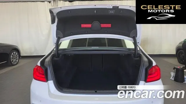 BMW Série 5 (G30) 520d M Sport Plus 2020 — photo 20 sur 38