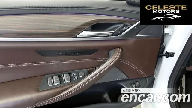 BMW Série 5 (G30) 520d M Sport Plus 2020 — photo 28 sur 38