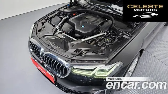 BMW Série 5 (G30) 520i Luxury 2023 — photo 6 sur 34