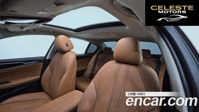 BMW Série 5 (G30) 520d Luxury Spécial Edition 2018 — photo 18 sur 32