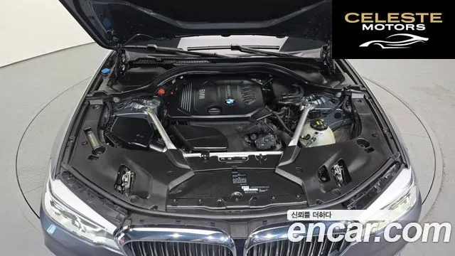 BMW Série 5 (G30) 520d Luxury Spécial Edition 2018 — photo 6 sur 32