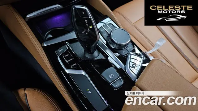 BMW Série 5 (G30) 520i Luxury 2020 — photo 12 sur 31