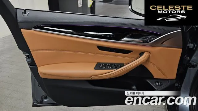 BMW Série 5 (G30) 520i Luxury 2020 — photo 14 sur 31