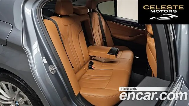 BMW Série 5 (G30) 520i Luxury 2020 — photo 16 sur 31