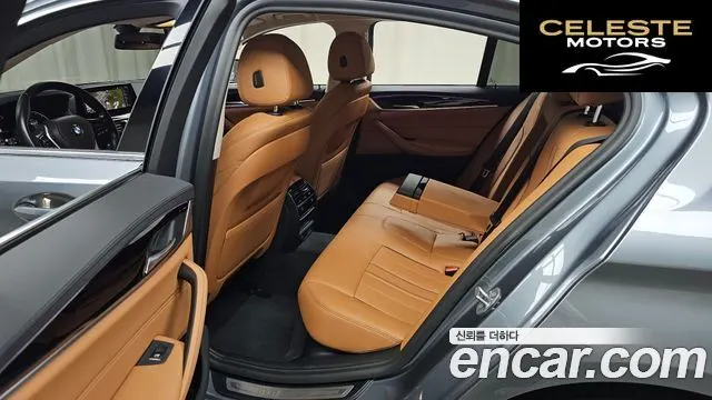 BMW Série 5 (G30) 520i Luxury 2020 — photo 17 sur 31