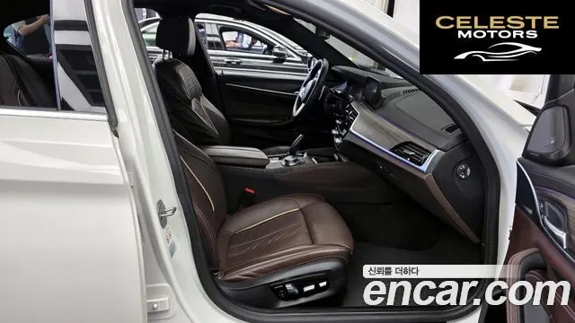 BMW Série 5 (G30) 520d M Sport Plus 2020 — photo 17 sur 38