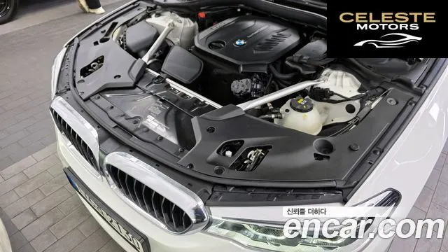 BMW Série 5 (G30) 520d M Sport Plus 2020 — photo 6 sur 38