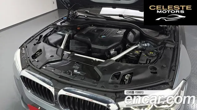 BMW Série 5 (G30) 530i M Sport Plus 2019 — photo 6 sur 38
