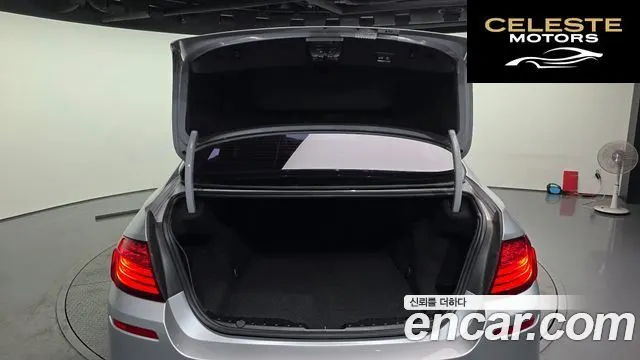 BMW Série 5 (F10) 520d M Aéro Dynamic 2016 — photo 20 sur 20