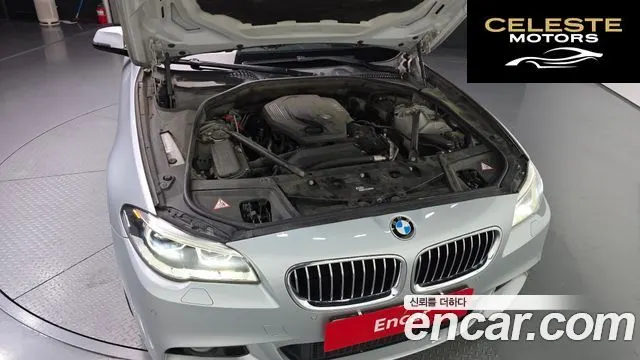 BMW Série 5 (F10) 520d M Aéro Dynamic 2016 — photo 6 sur 20