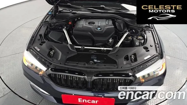 BMW Série 5 (G30) 520i Luxury 2019 — photo 6 sur 34