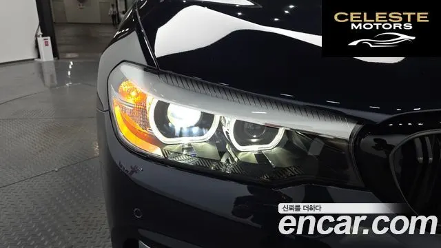 BMW Série 5 (G30) 520i Luxury 2019 — photo 8 sur 34
