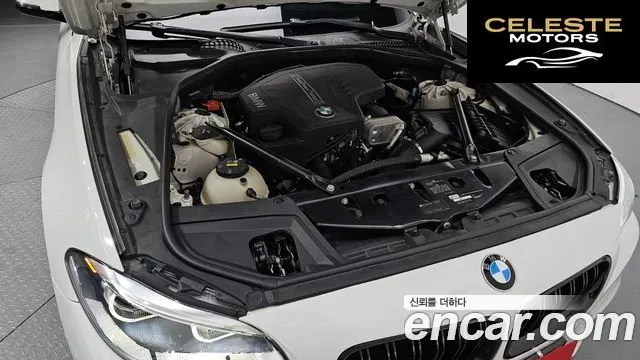 BMW Série 5 (F10) 528i M Aéro Dynamic Spécial Edition 2016 — photo 6 sur 26