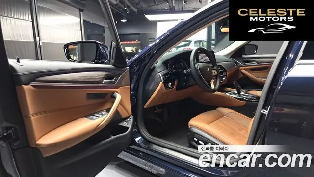 BMW Série 5 (G30) 530e Luxury 2020 — photo 13 sur 30