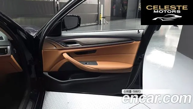 BMW Série 5 (G30) 530e Luxury 2020 — photo 27 sur 30