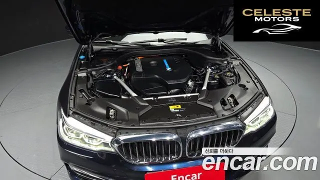 BMW Série 5 (G30) 530e Luxury 2020 — photo 6 sur 30