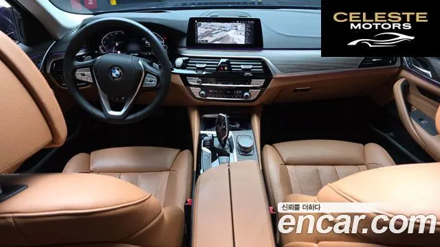 BMW Série 5 (G30) 530e Luxury 2020 — photo 10 sur 30
