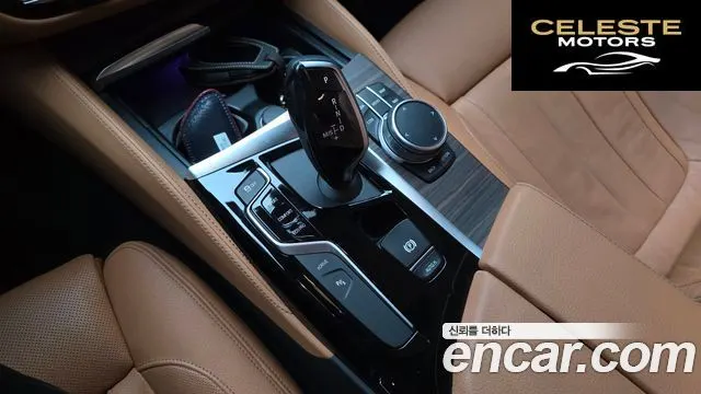BMW Série 5 (G30) 530e Luxury 2020 — photo 12 sur 30